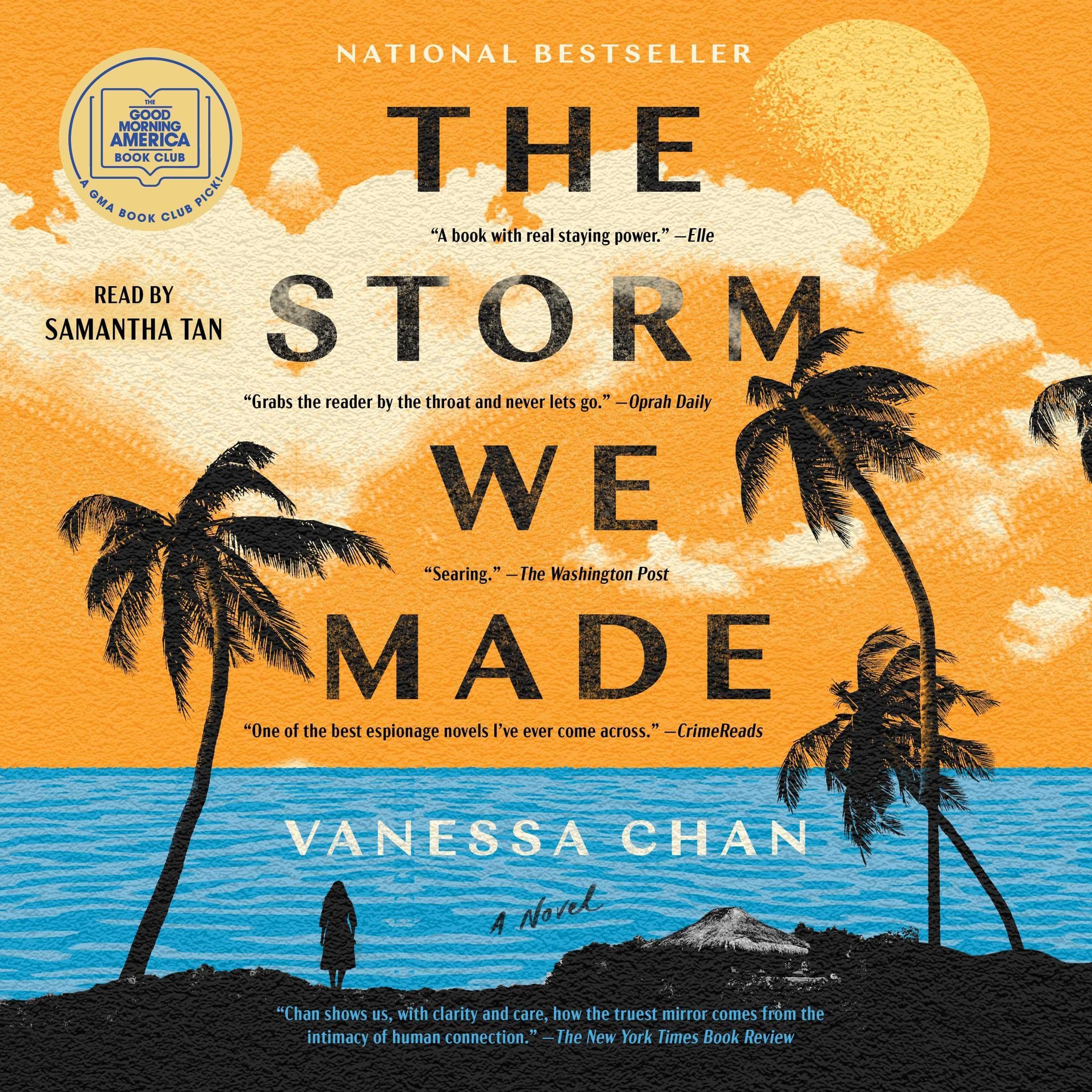 Cover art for The Storm We Made