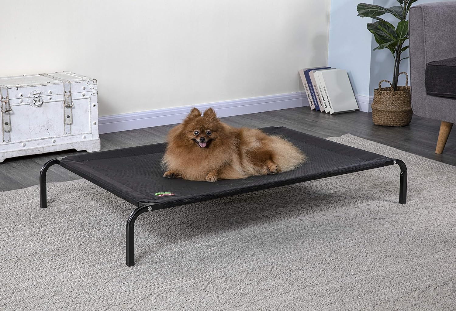 dog training cot