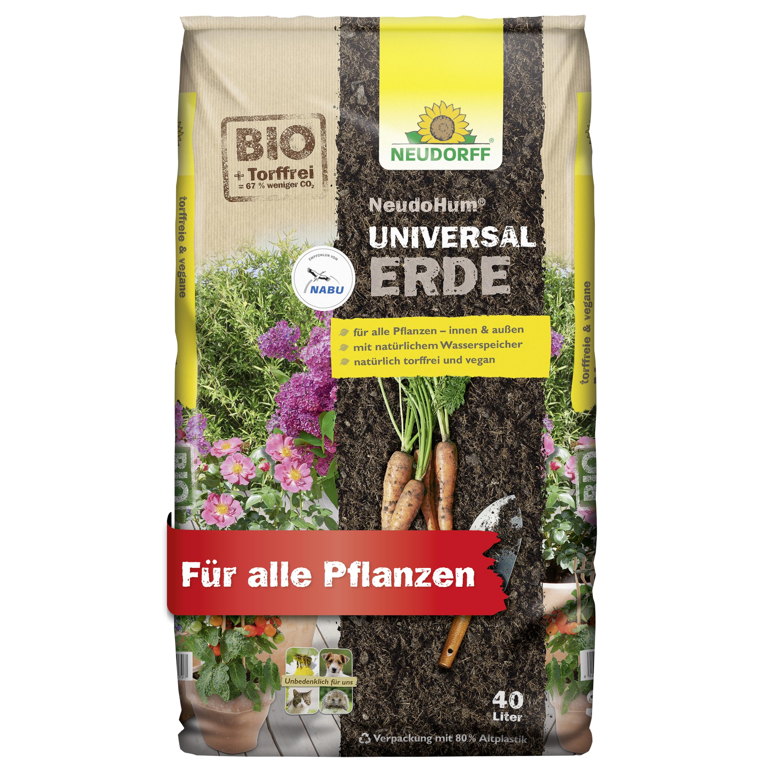 zimmerpflanzen feder Glücksfeder kaufen – Green Me Up main image 1