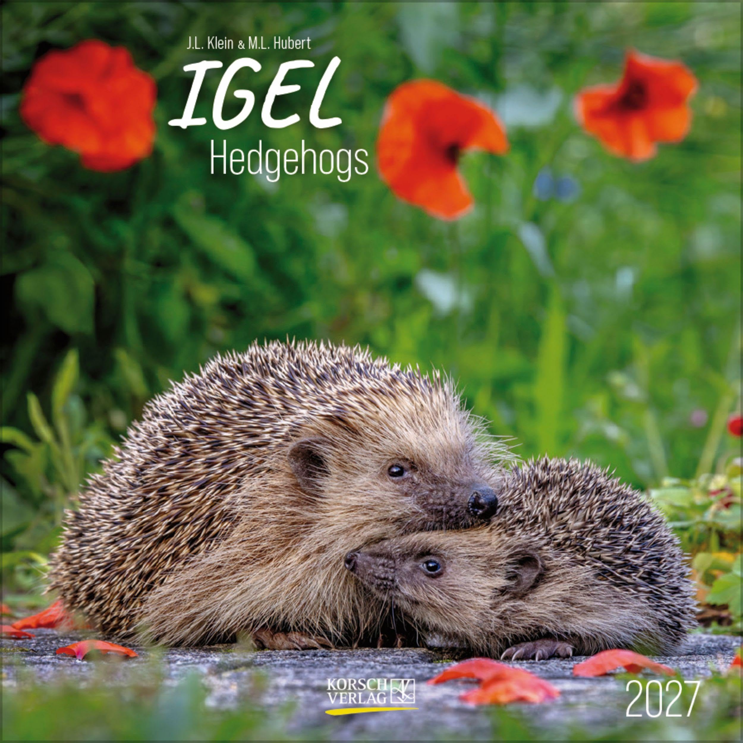Igel 2027: Broschürenkalender mit Ferienterminen. Tierkalender mit viel Platz für Notizen. Mit Monatskalendarium zum Eintragen. 30 x 30 cm