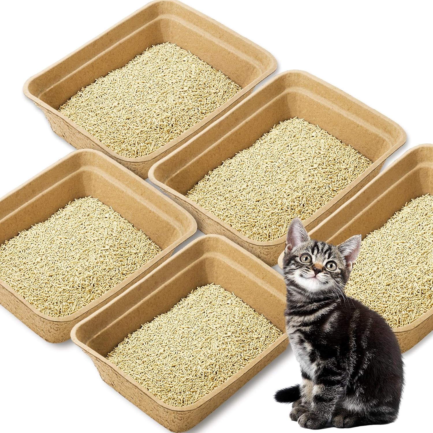 Whaline 5 Pack Disposable Cat Litter Boxes with Litter