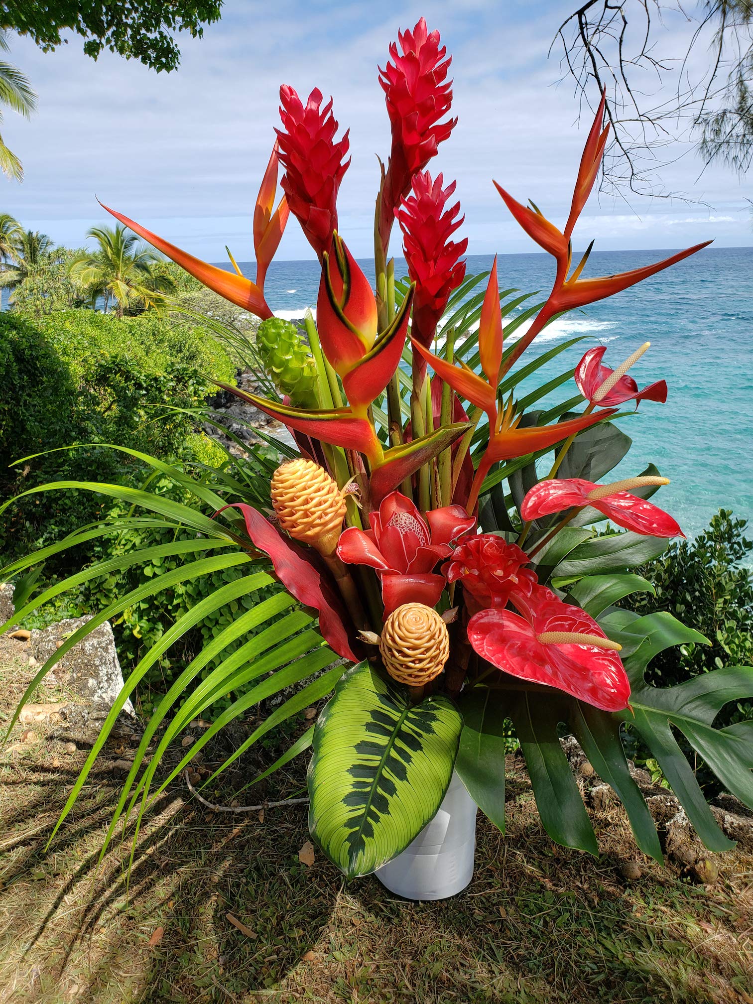 hana ❁ Amazon.com : Extra Large Tropical Surprise Fresh Flower