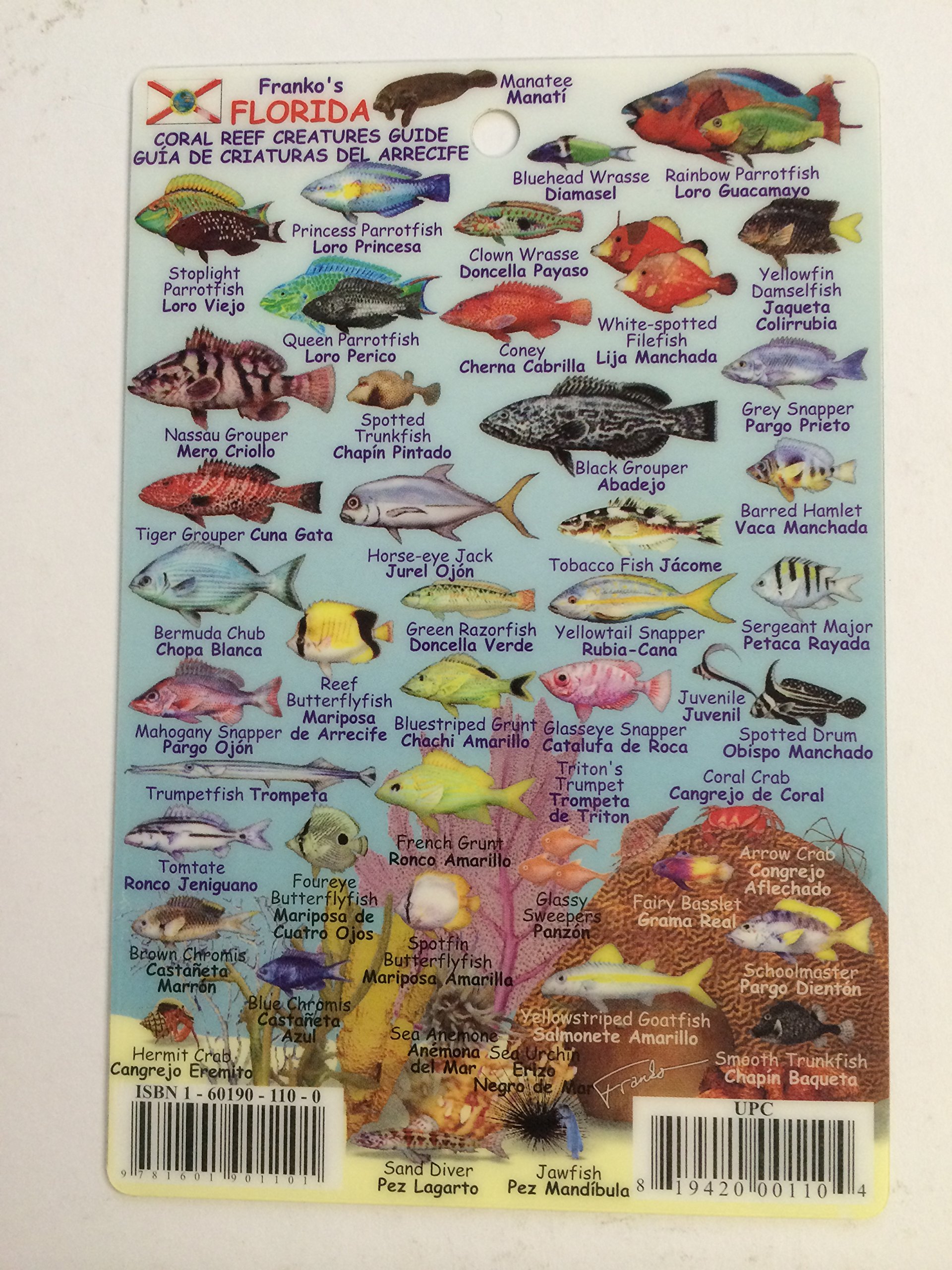 Sequoia, Kings Canyon, and Surrounding Wilderness Areas