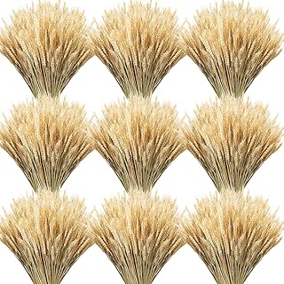 Geosar 600 Stems Dried Wheat Stalks for Decor Natural Wheat Grass Sheave...