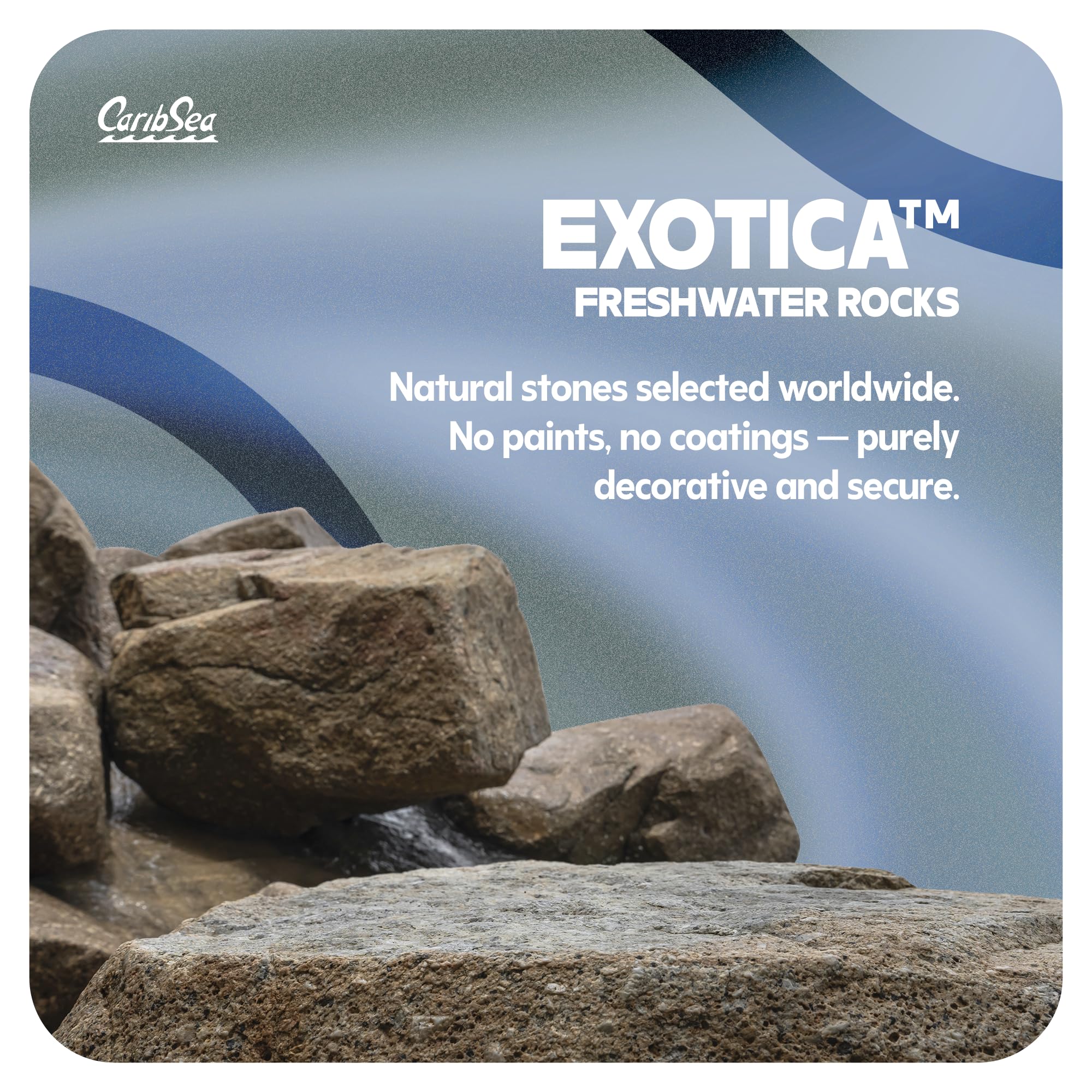 ドラゴンストーン Amazon | アクアレックス アクアリウム 王子ドラゴンストーン ロック