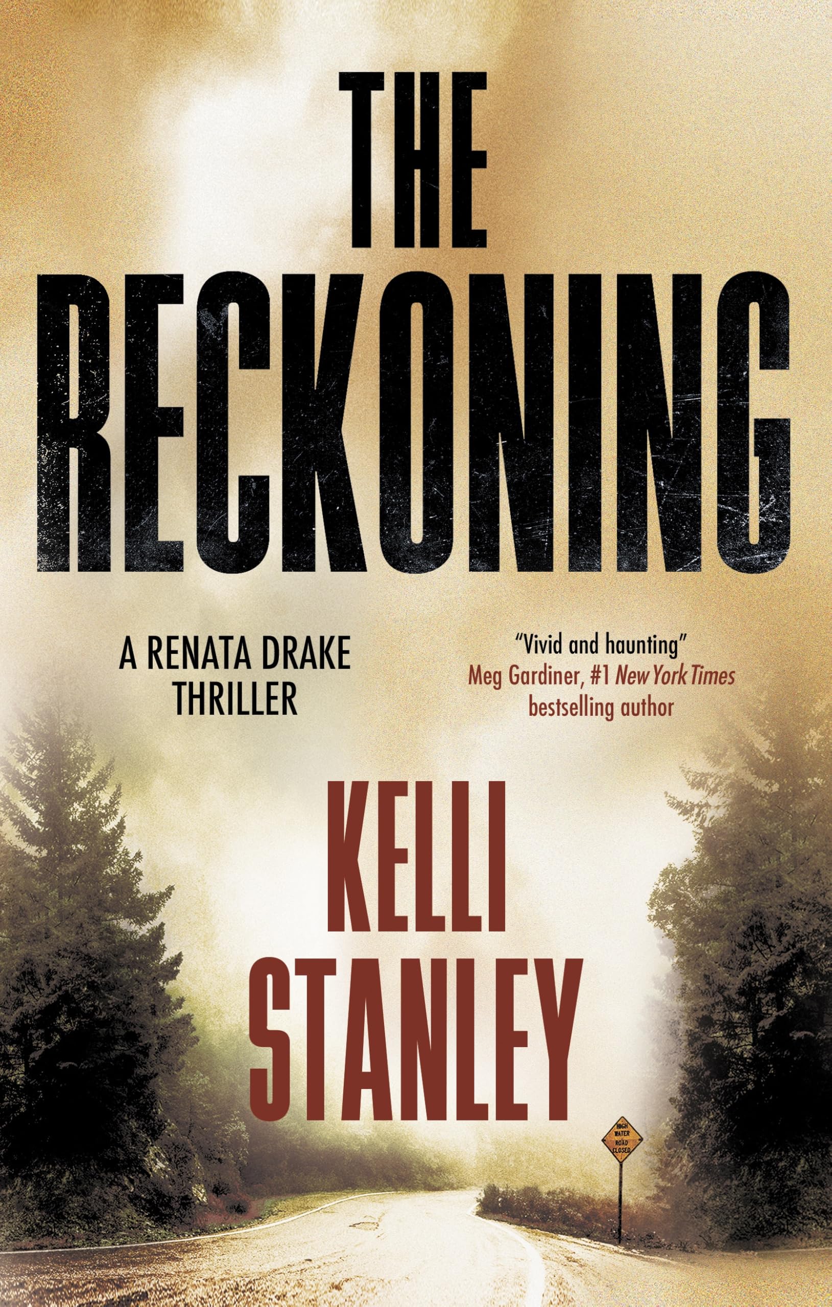 The Reckoning (A Renata Drake Thriller)