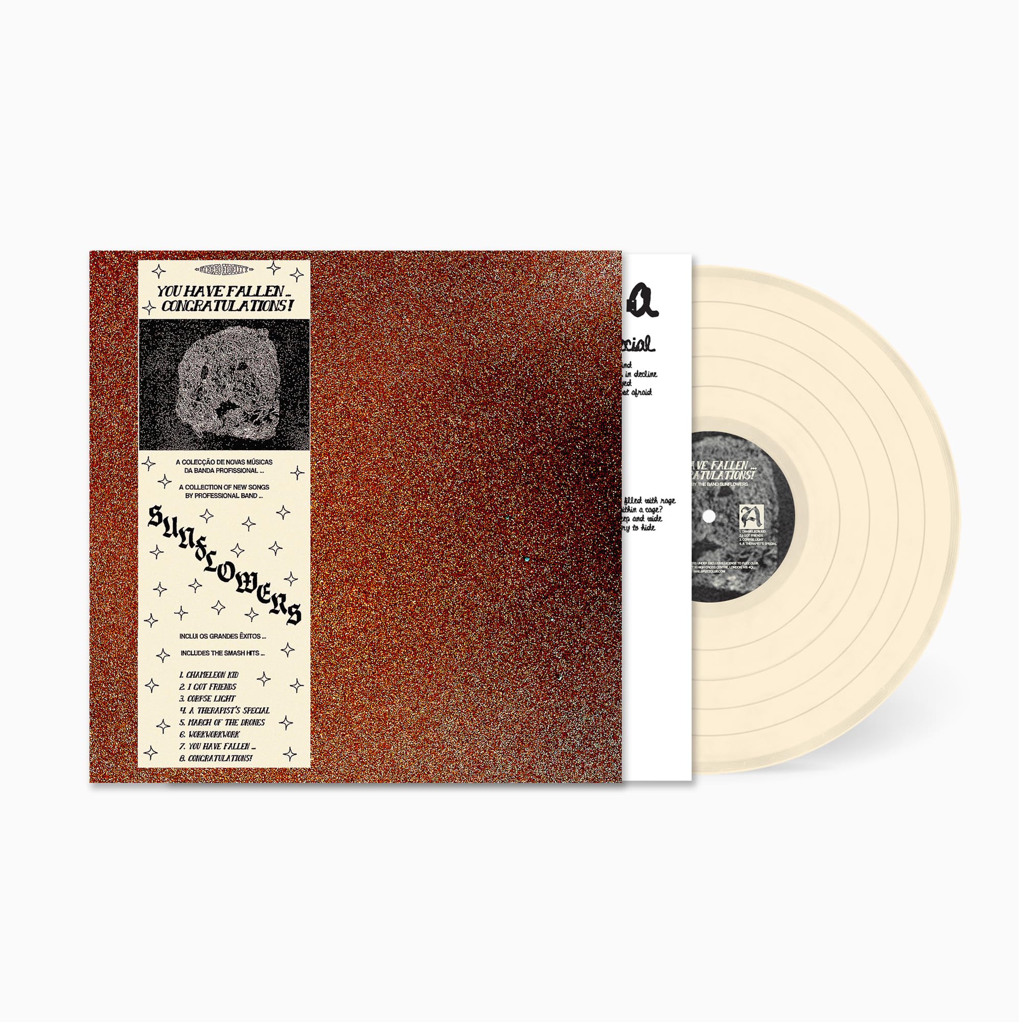 You Have Fallen... Congratulations! [VINYL]