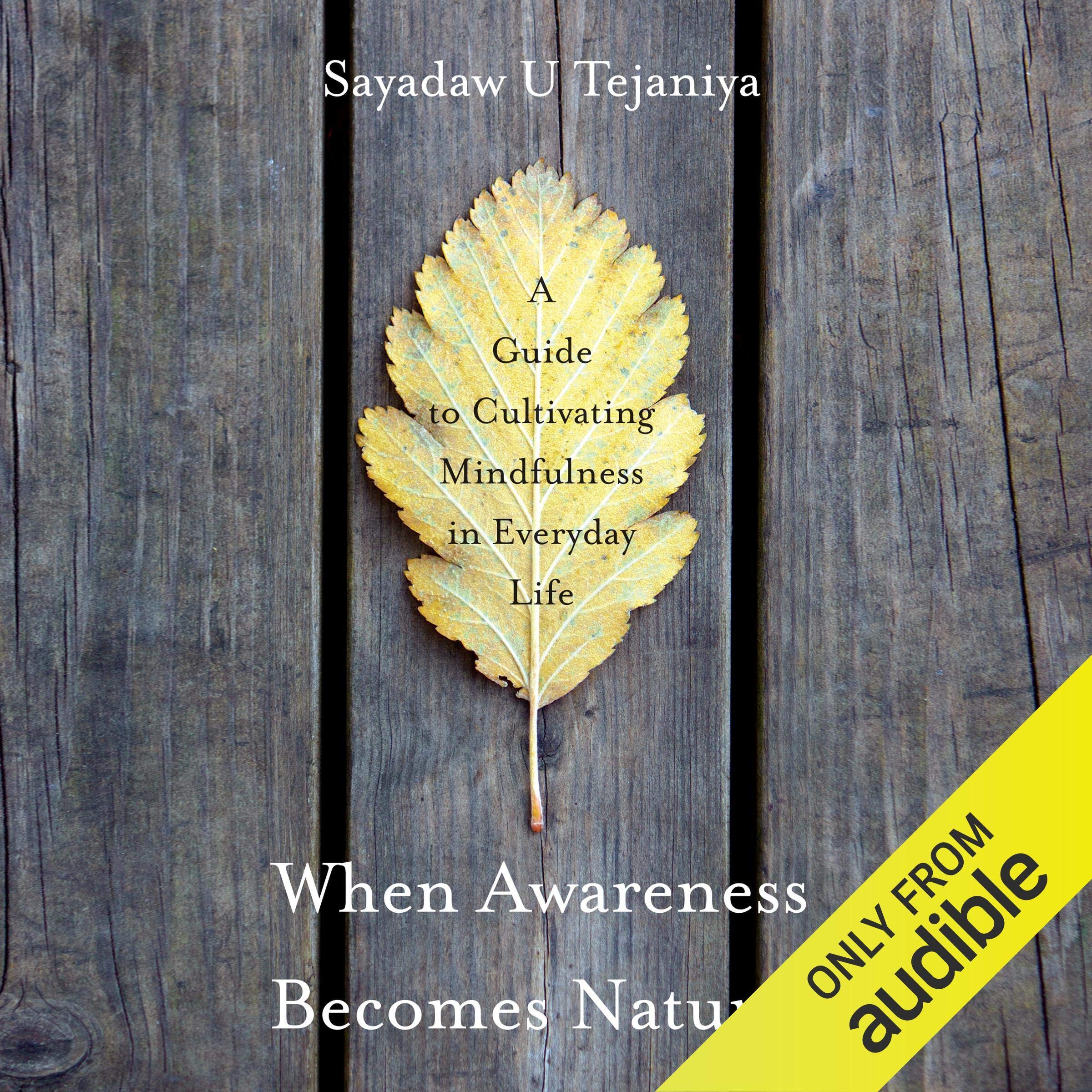 Cover art for When Awareness Becomes Natural