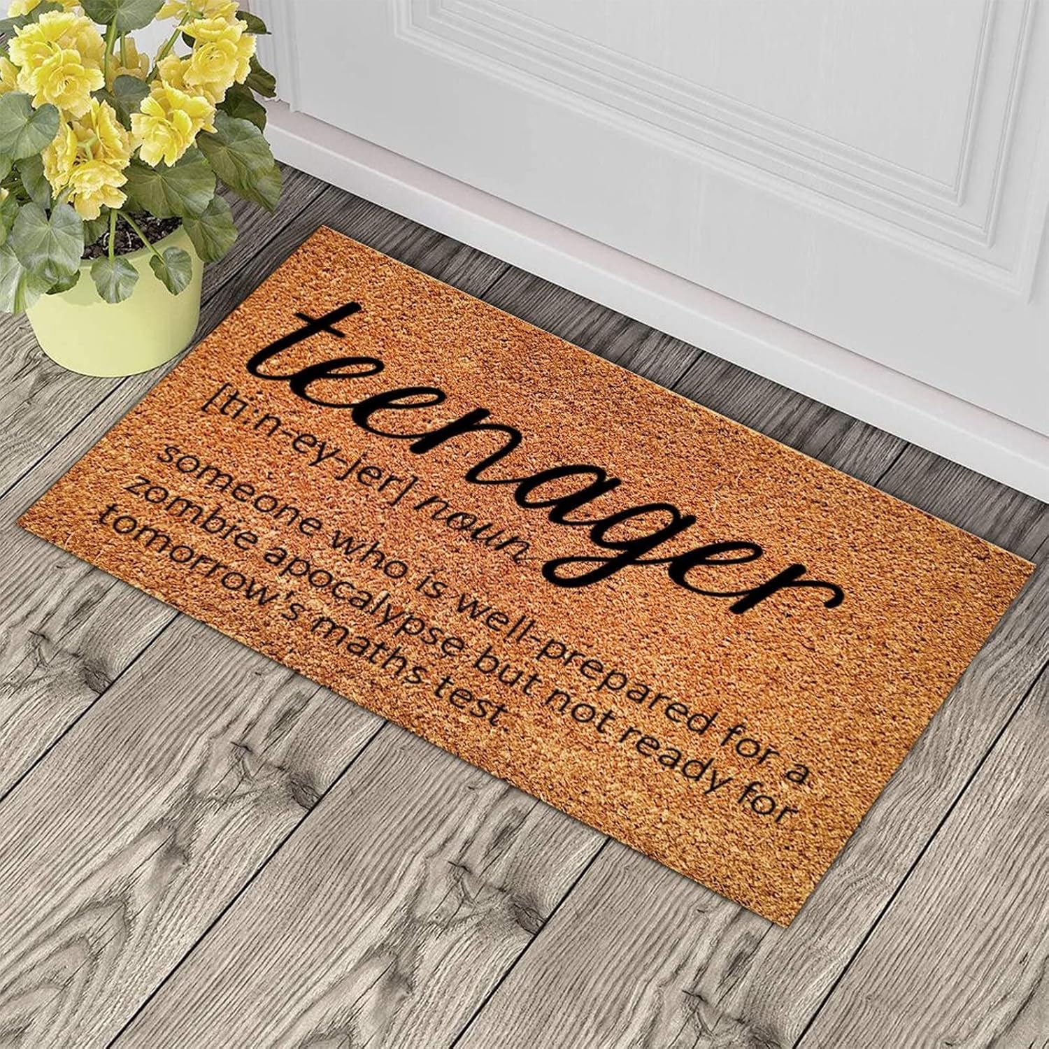 Teenager Definition Dictionary Word Meaning Natural Coir Door Mat Non-Slip for Floor Entrance Indoor Outdoor Home Decor 16x24 Inch Rectangular Welcome Doormat Entry Coir Mat Rug