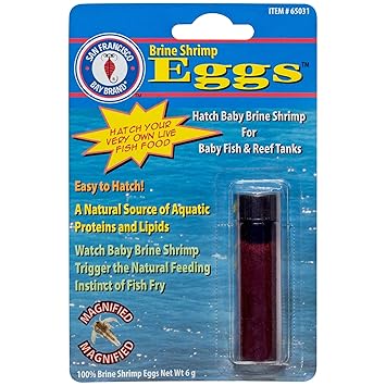 San Francisco Bay Brand ASF65031 Brine Shrimp Eggs Vial for Baby Fish and Reef Tanks, 6gm