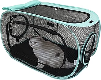 Kitty City Outdoor Kennel