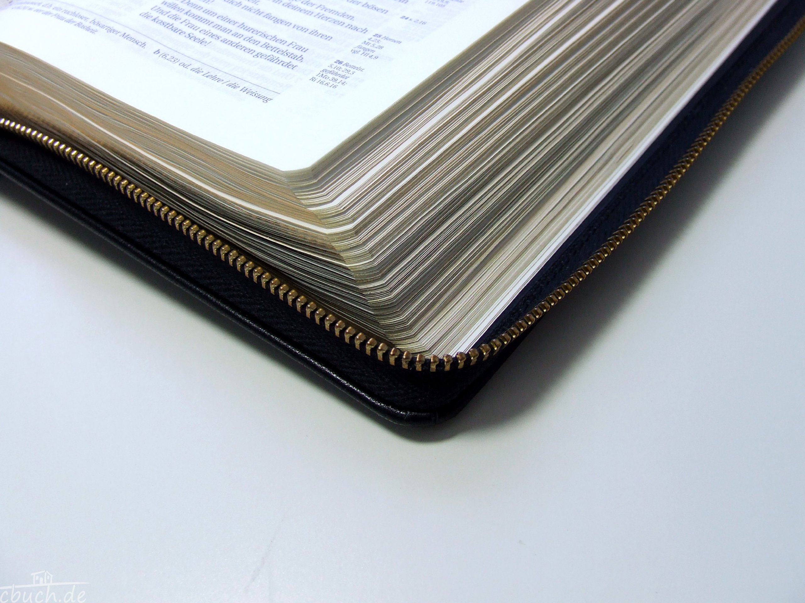 Schlachter 2000 Bibel - Taschenausgabe (Softcover, schwarz, Goldschnitt, Reißverschluss): Taschenausgabe mit Parallelstellen, Kalbsleder-Einband ... / Reißverschluss / Goldschnitt / Fadenheftung