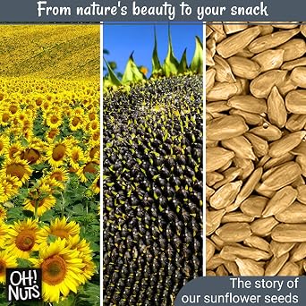 Oh! Nuts Sunflower Seeds Roasted Salted - 2 lb - Salted Sunflower Seeds No Shell - Healthy Energy Snack