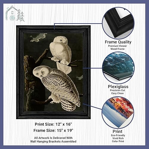 Miniatura 2 de Lost Cabin Snowy Owl de James Audubon  Impresión sin marco  Reproducción de pintura de obras de arte finas  Póster enmarcado de decoración de arte