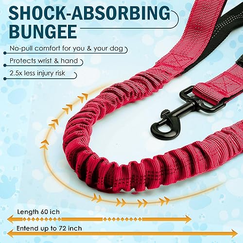 Miniatura 2 de Correa de perro manos libres con cinturón  Bungee sin tirones, asas acolchadas dobles y bolsa con cremallera para correr, caminar y entrenar  Correa