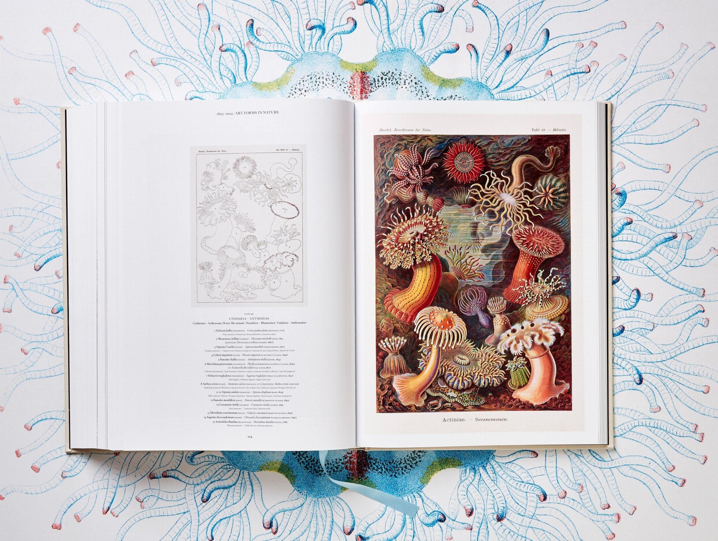 The Art and Science of Ernst Haeckel: The Complete Plates