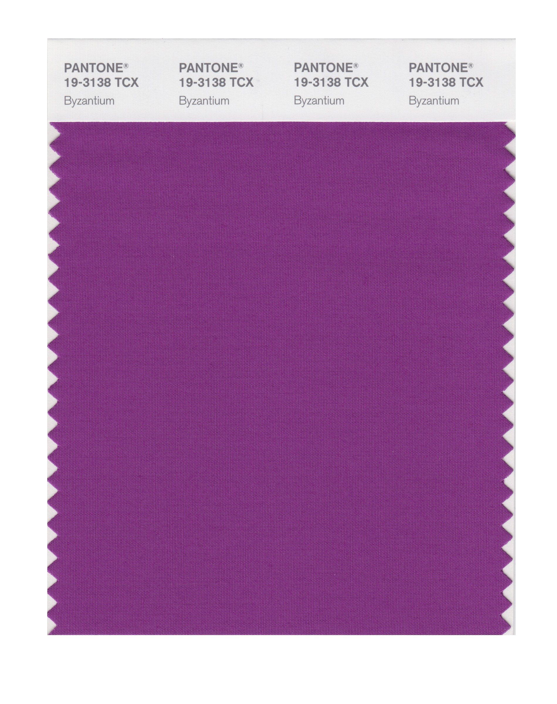 PANTONE Smart 19-3138X Color Swatch Card, Byzantium - House Paint