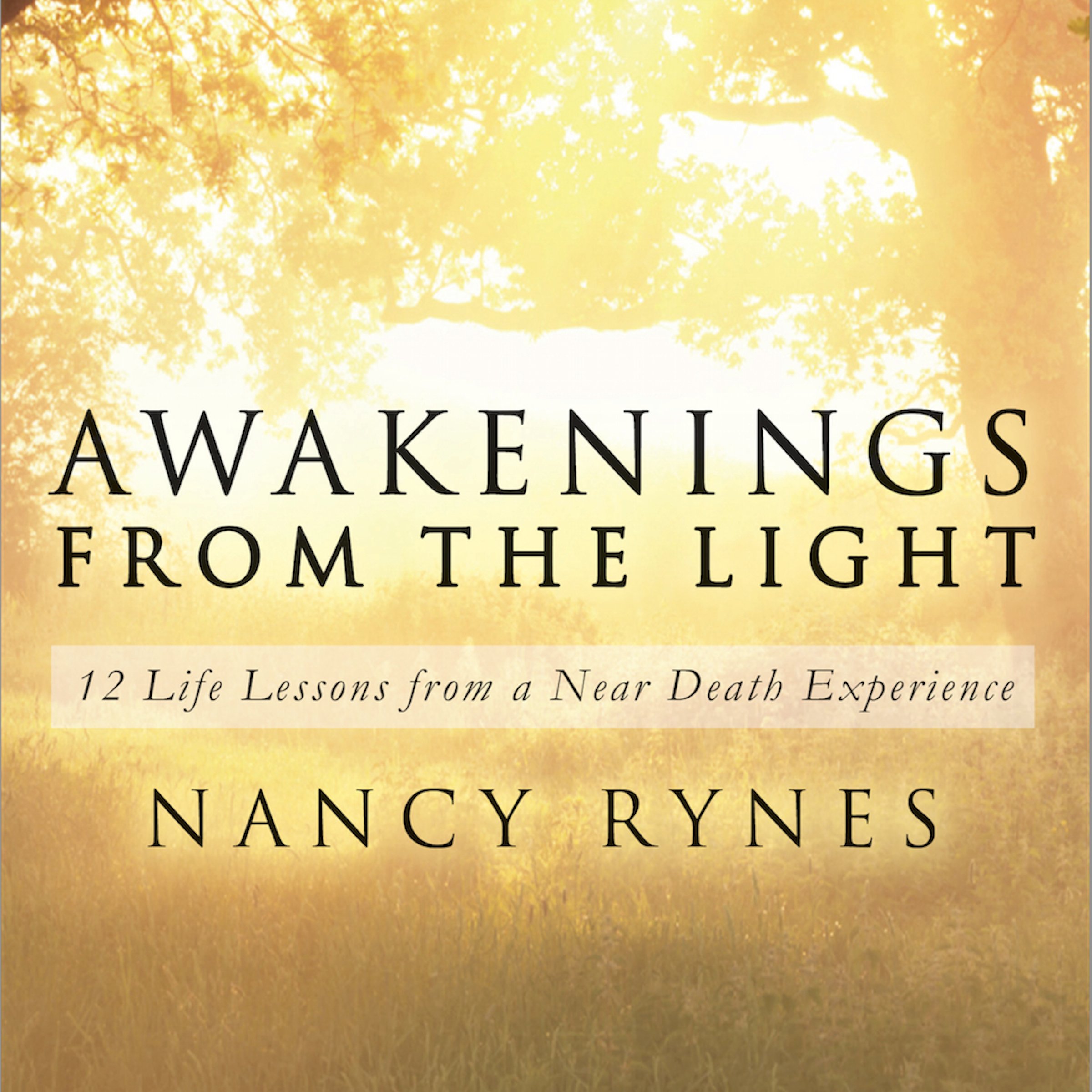 Cover art for Awakenings from the Light