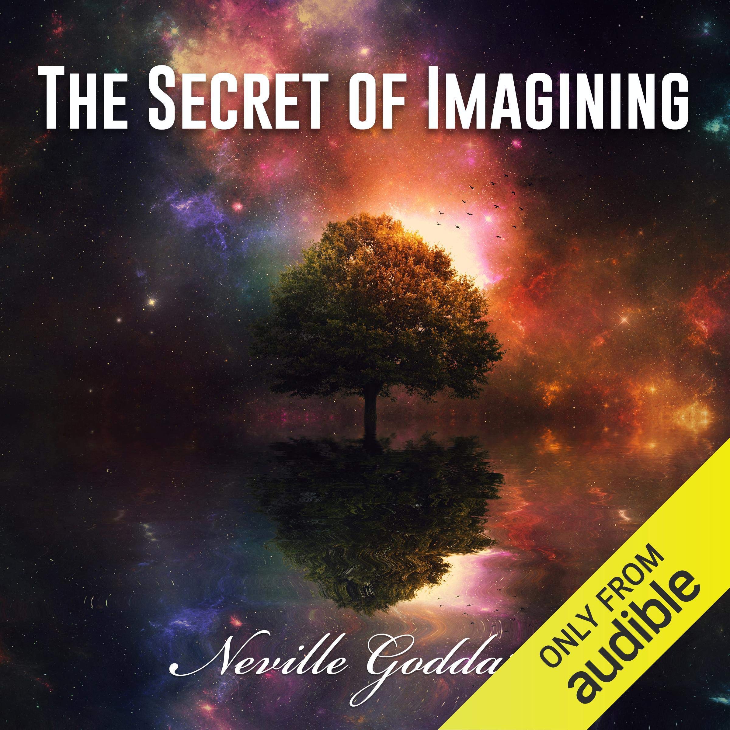 Cover art for The Secret of Imagining