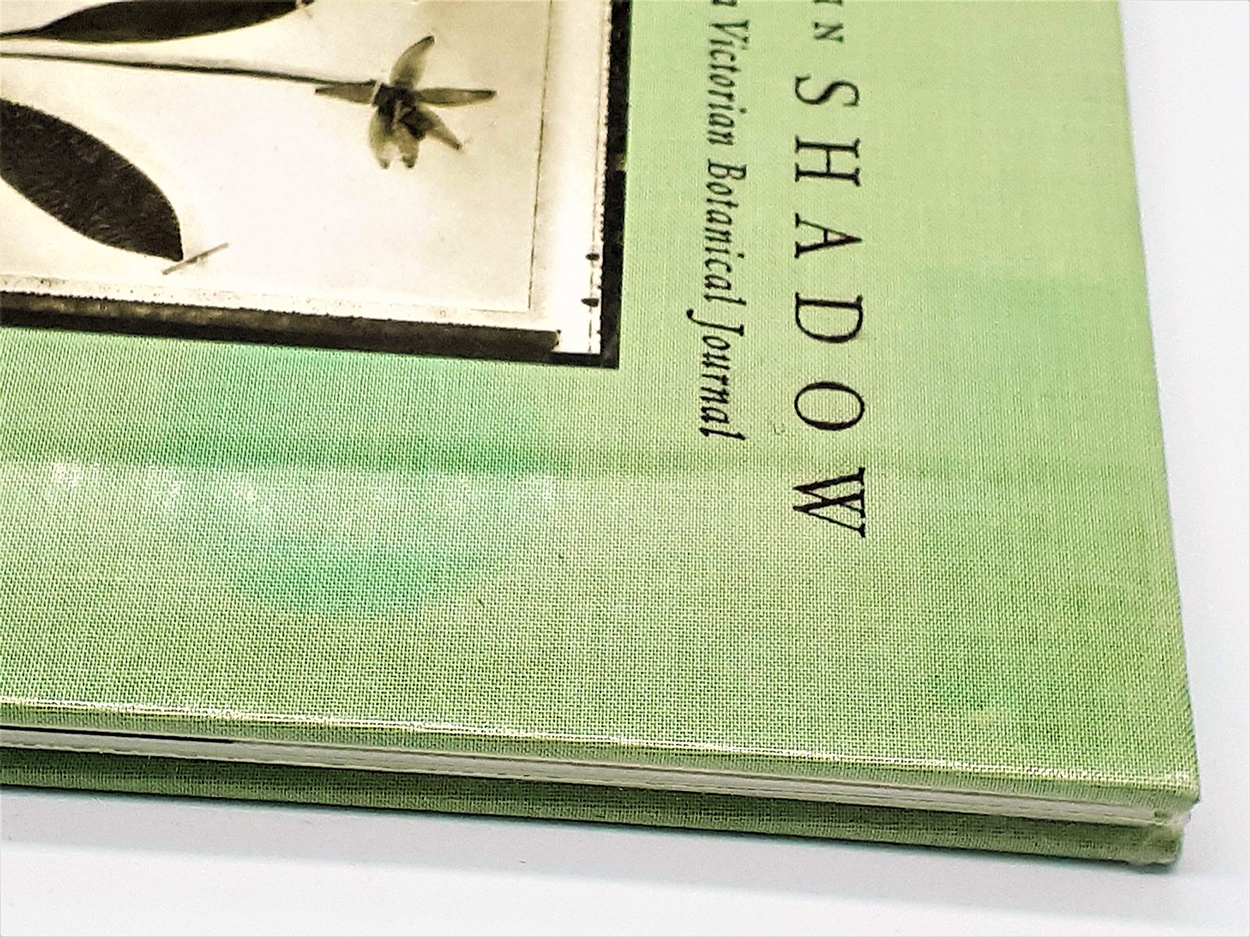 Amazon.co.jp: Zeva Oelbaum: 本、バイオグラフィー、最新アップデート
