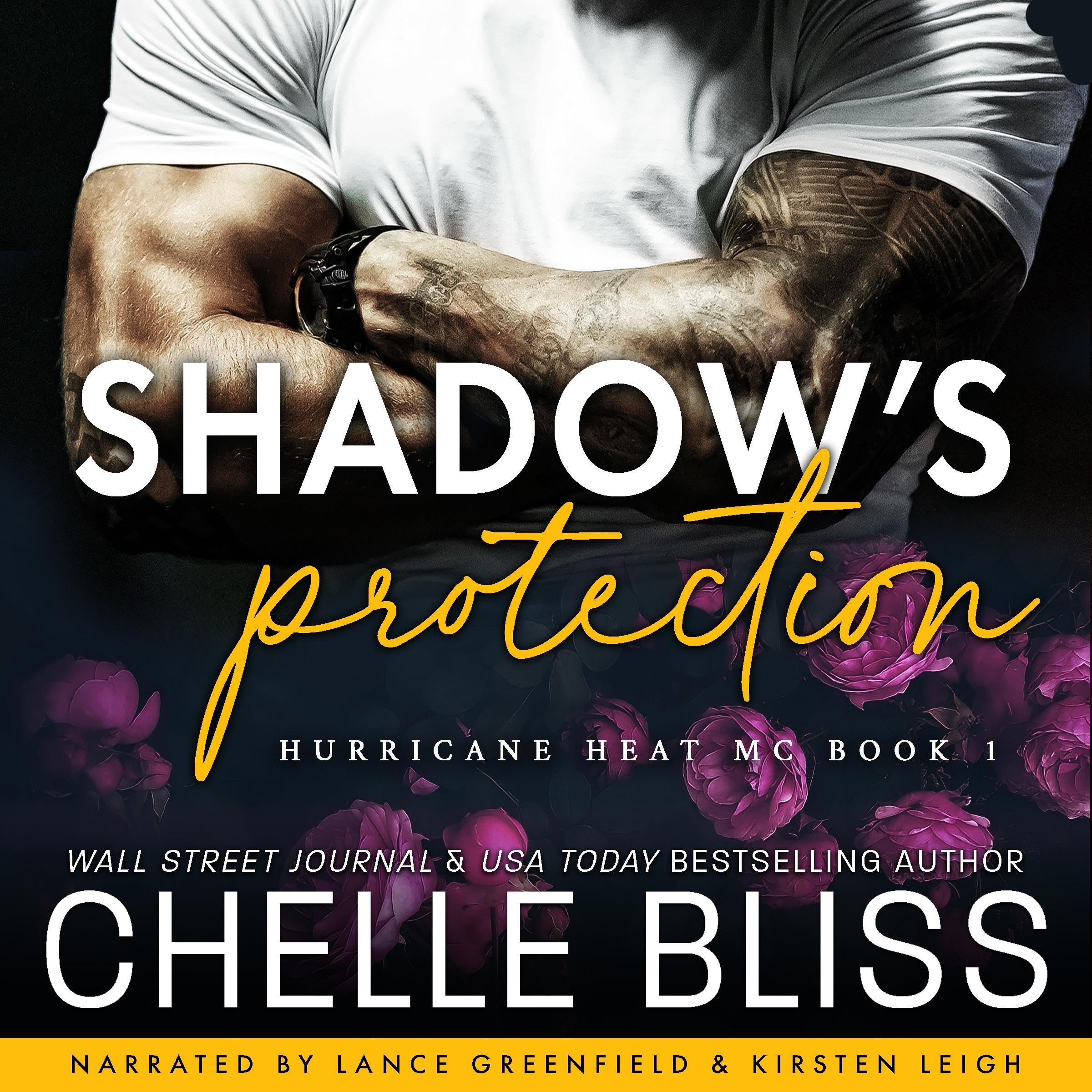 Cover art for Shadow's Protection