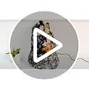 Image of ALILA Resin Shivpariwar Shivling Lord Shiva Shiv Water Fountain For Home Temple | Indoor Decor | LED Light Waterfall | Spiritual & Vastu Gift | Gifting Decor, 15 Inches, Multicolour