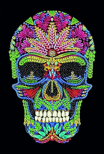 Crystal Art Cuaderno de pintura de diamantes, kit de cuaderno de calavera, crea una cubierta brillante para cuaderno con cristales, para edades de 8