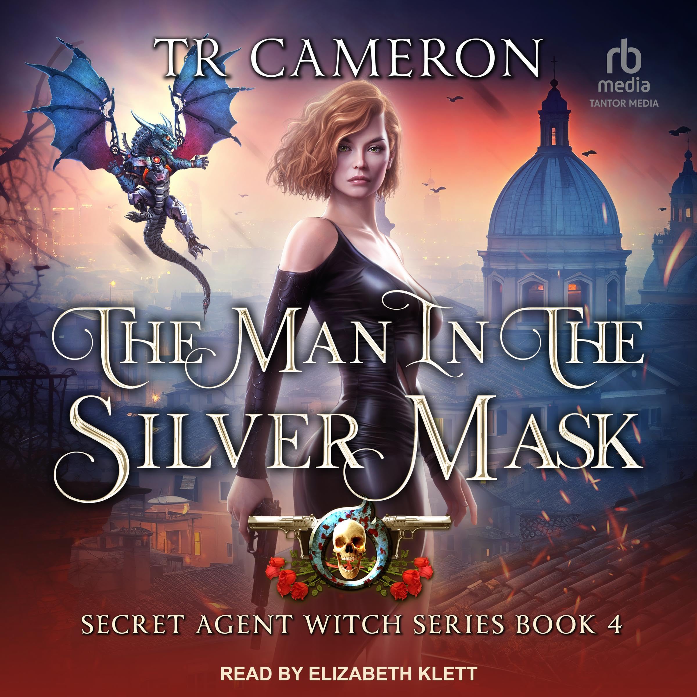 Cover art for The Man in the Silver Mask