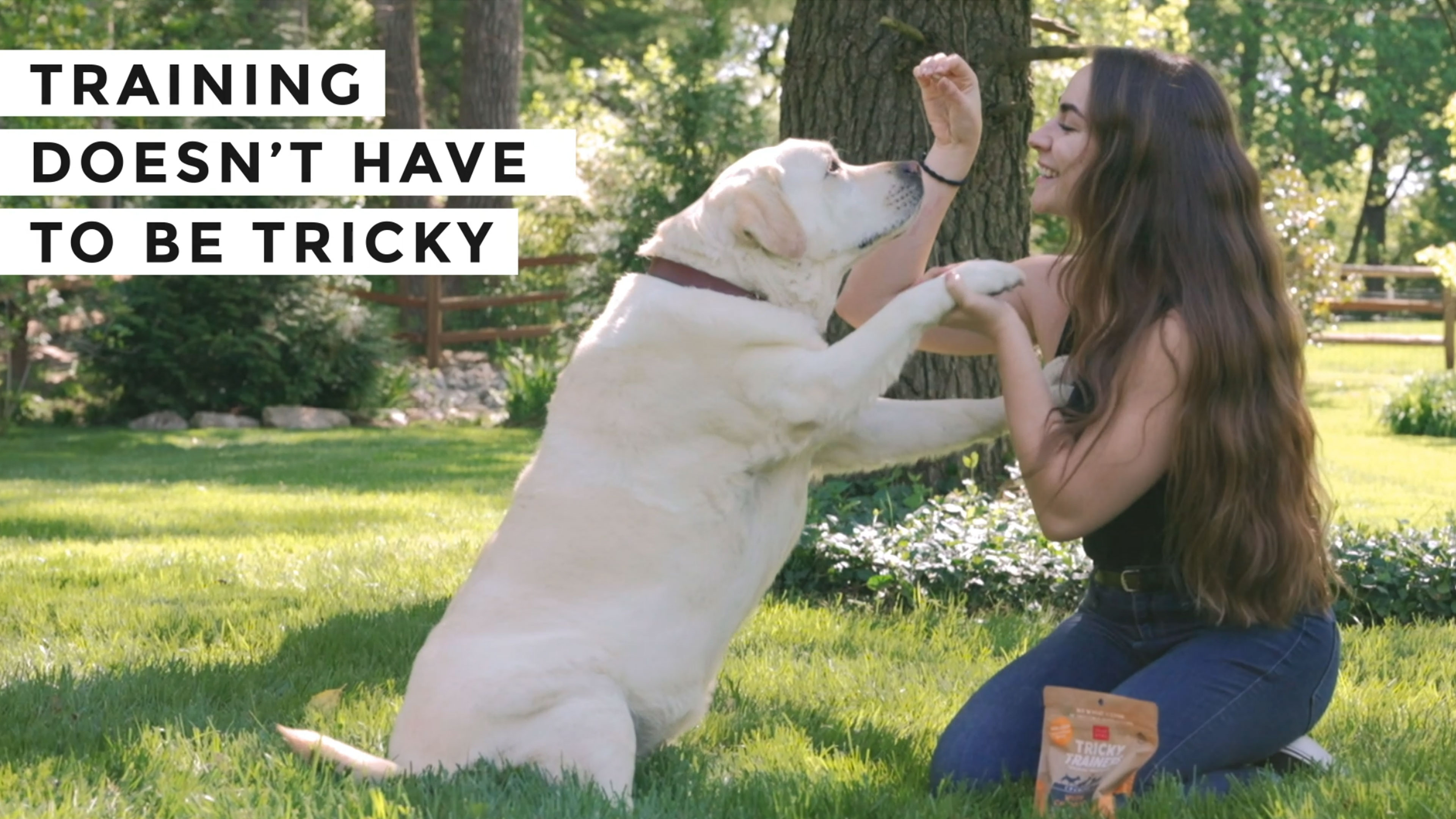 Cloud Star Tricky Trainers Soft & Chewy Dog Treats, Liver, 14 oz. Pouch - image 7