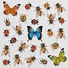 26 Beautiful Butterfly Bees Ladybirds and Beetles Static Cling Window Stickers - Double-Sided Window Clings for Glass Windows