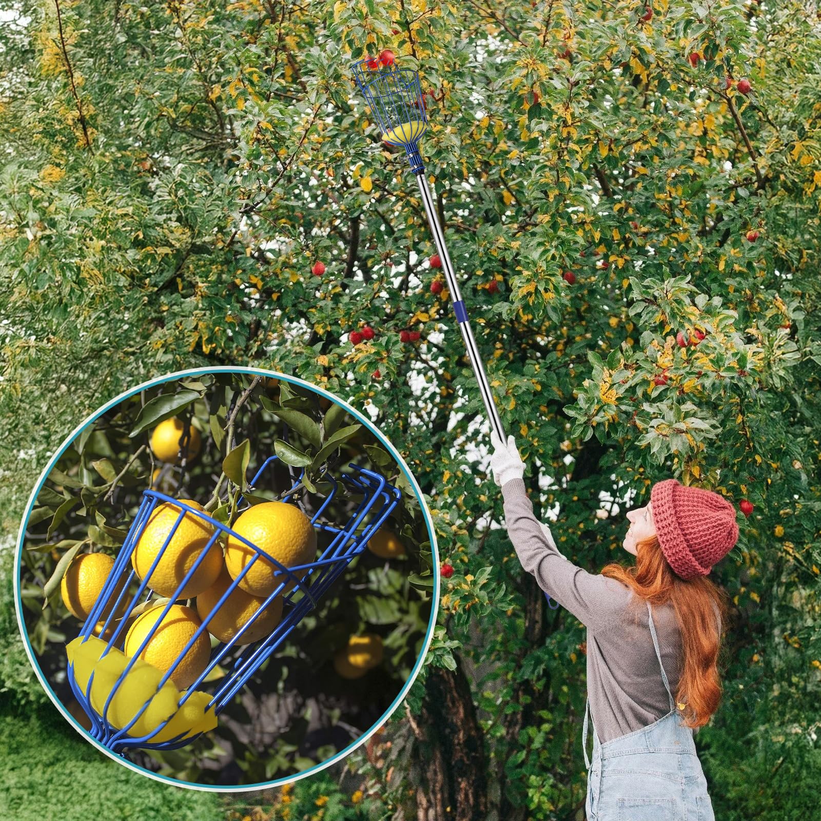 DBREAKS 4,2 m Recogedor de Frutas, Recogedor de Manzanas con Barra telescópica de Aluminio Ligero, Recogedor de Frutas con Cojín, Fácil de Montar, Diámetro de 16cm