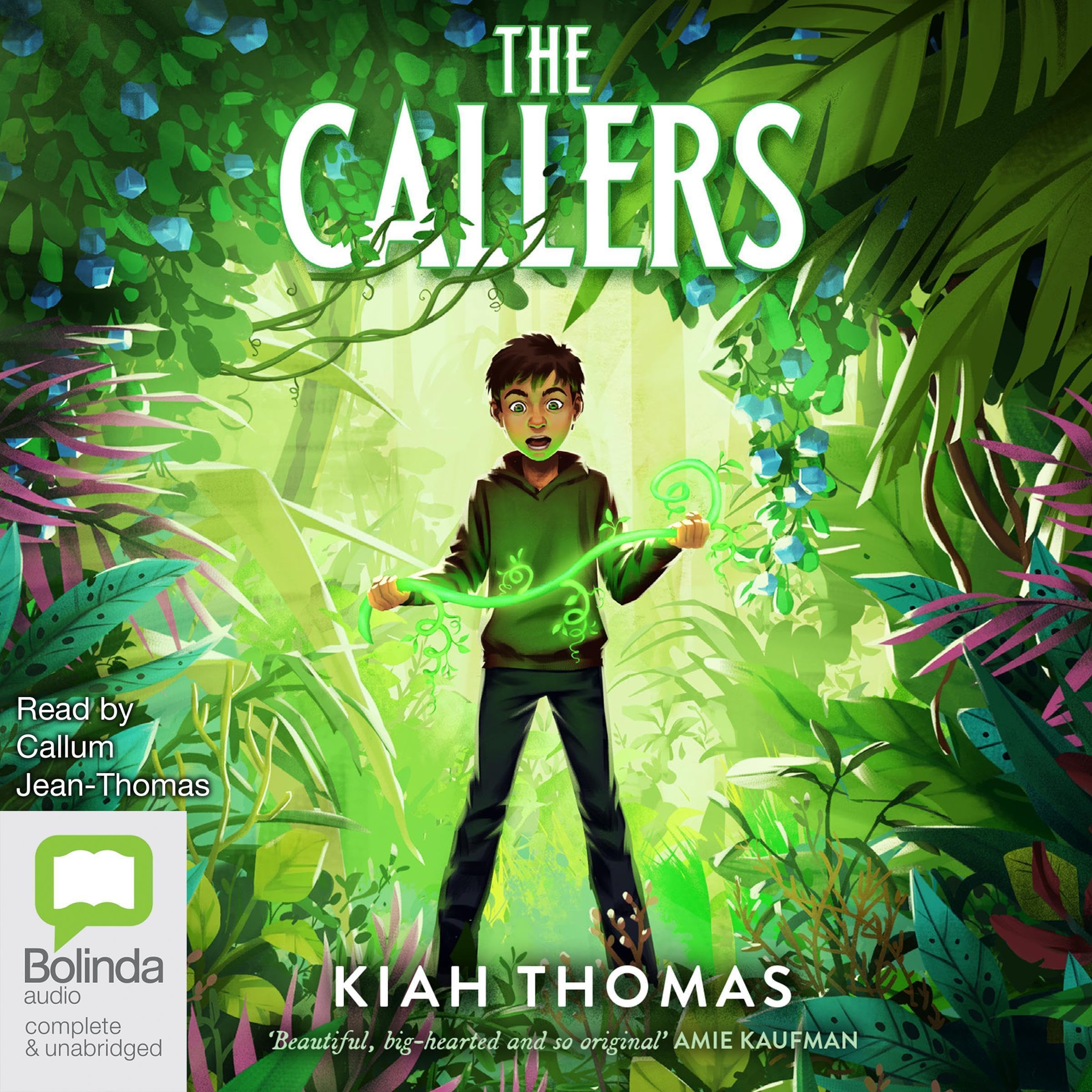 Cover art for The Callers