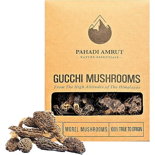 Pahadi Amrut Gucchi Mushroom Morel Mushroom 50g