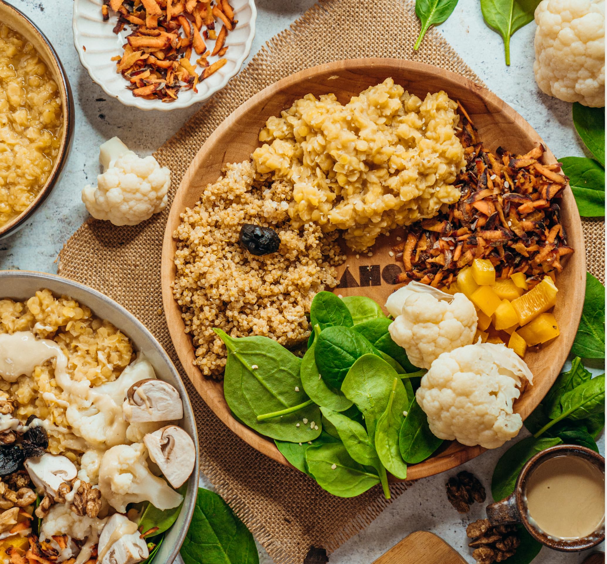 AHO Sprossen Quinoa - Gekeimter Bio Quinoa aus Europa 850 g