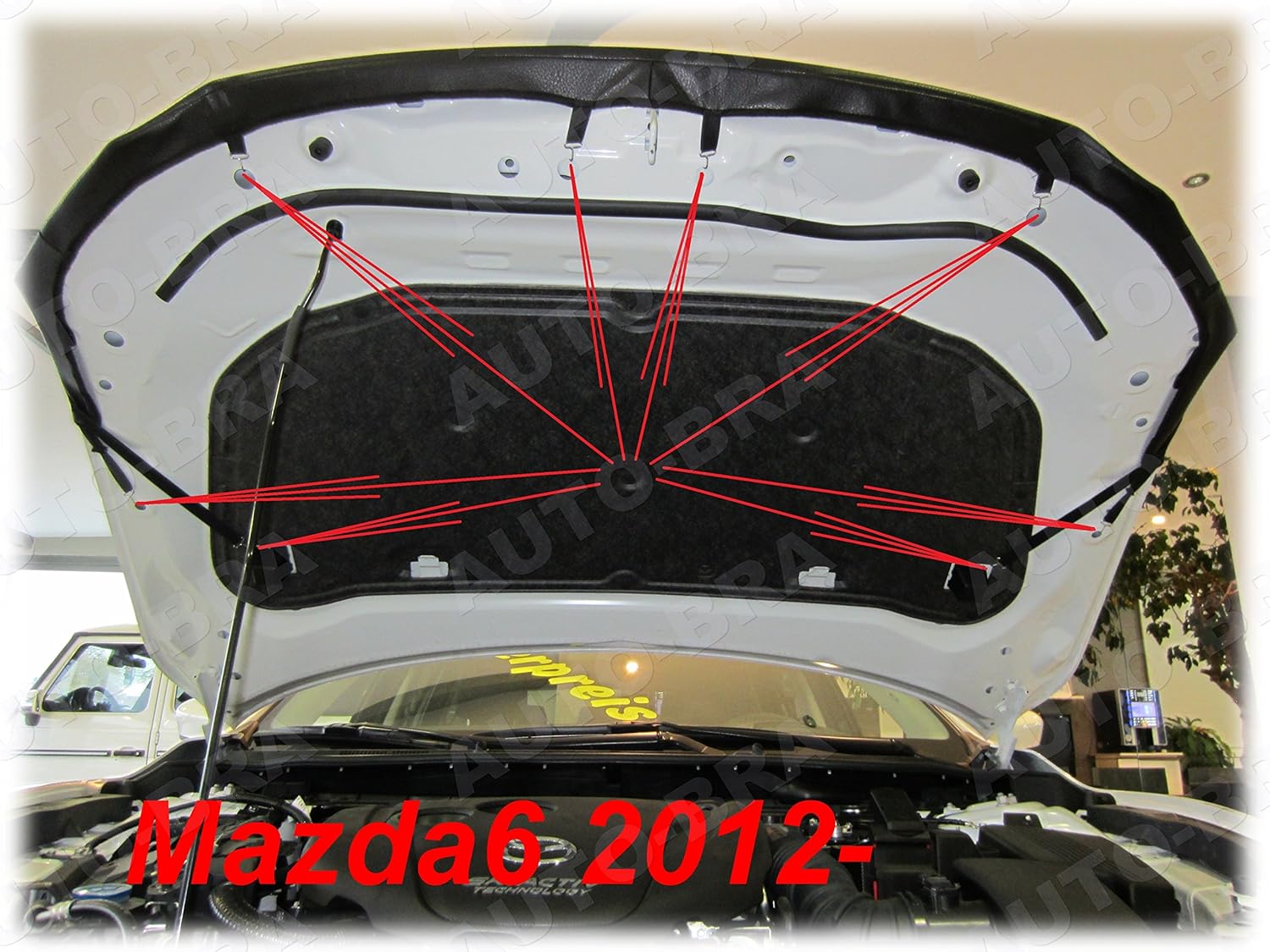 AB3-00303 Carbon Fibre Look Hood Bra Front End Nose Mask Compatible with Mazda 6 Since 2012 Bonnet Bra