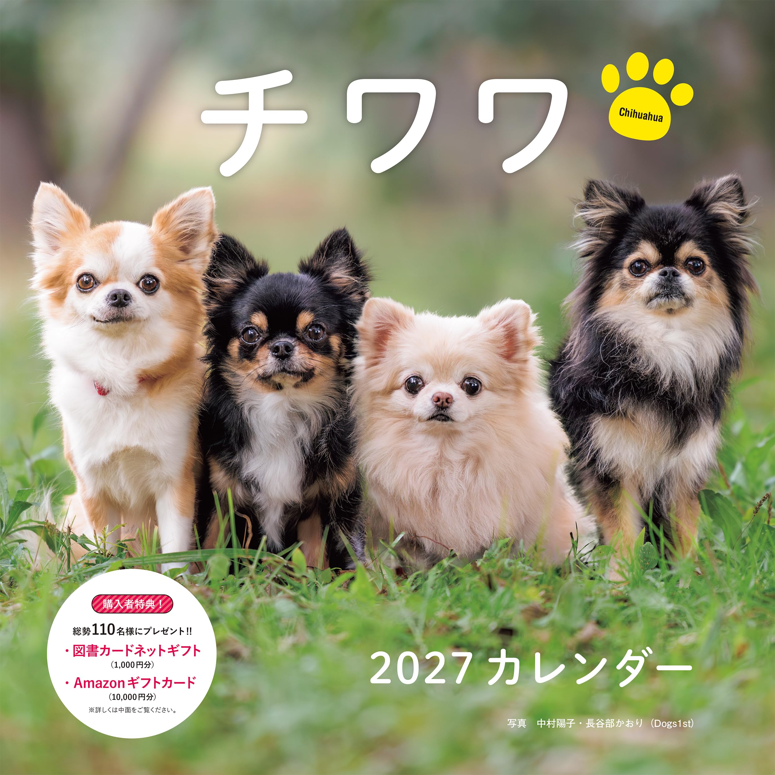 本日中に売れなければ300円！手作り額付「 逢いたかったよ！君のチワワ」 2027年カレンダー チワワ（誠文堂新光社カレンダー） | 中村 陽子