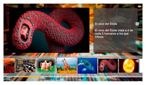 Galería Curiosidades