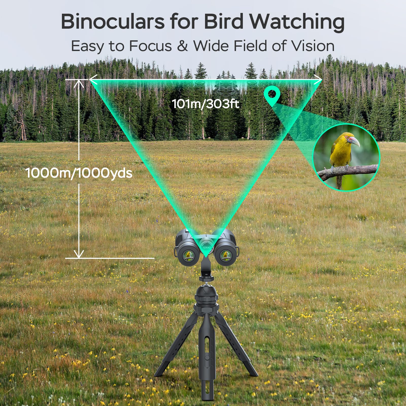 Binocolo Impermeabile 12x42 ED - Per Birdwatching E Caccia, Con Treppiede E Supporto Cellulare - Foto 10