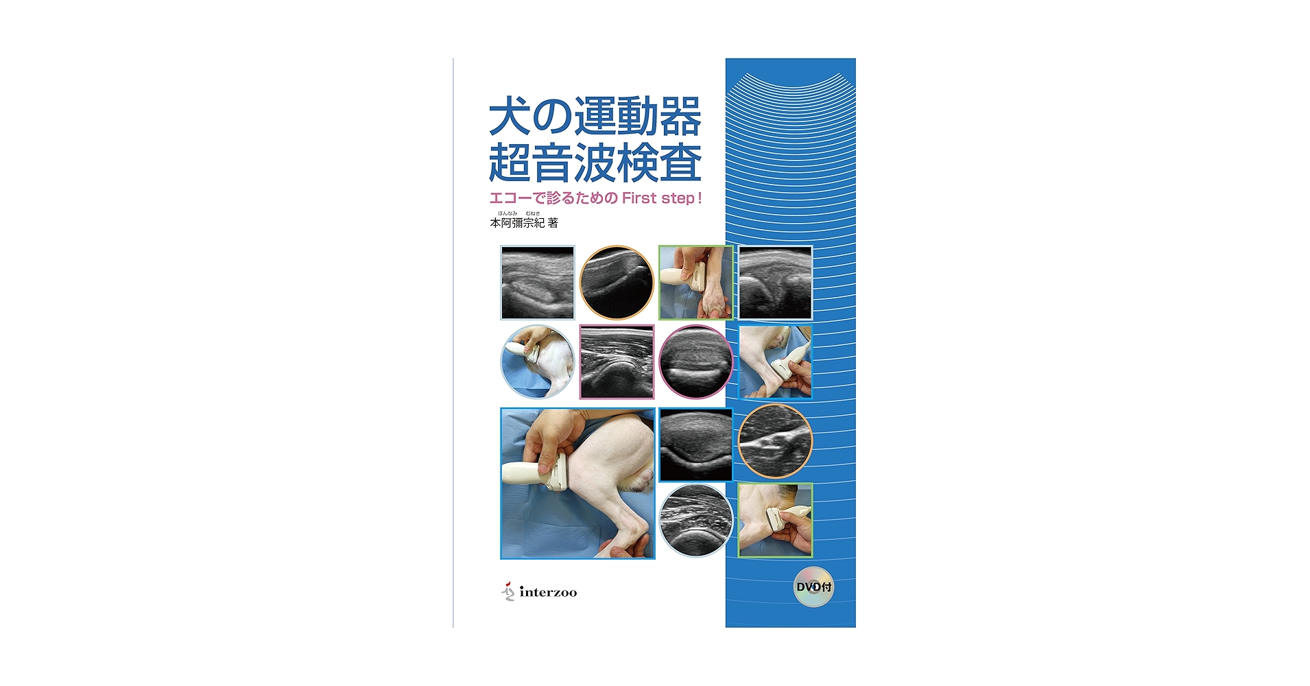 裁断済　犬の運動器超音波検査 エコーで診るためのFirst step! DVD付 91XhbAFInpL.jpg