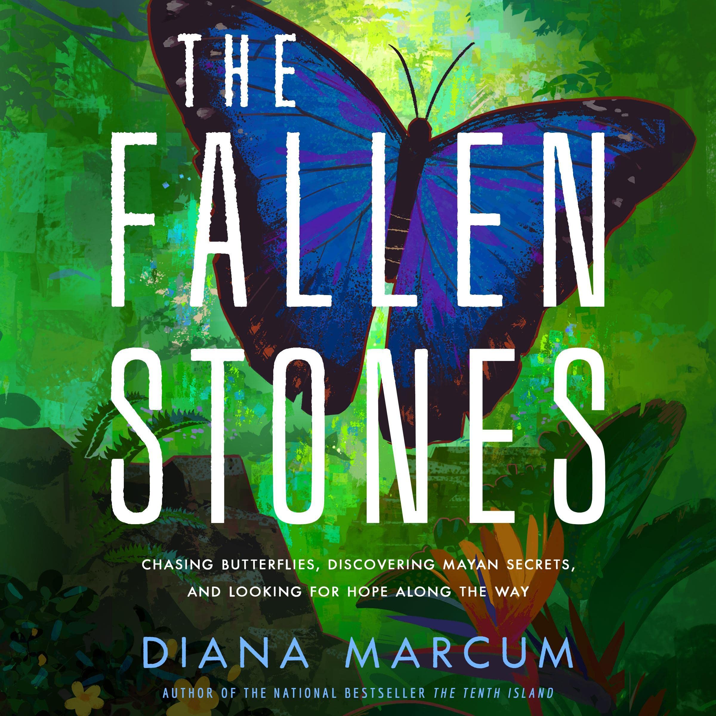 Cover art for The Fallen Stones