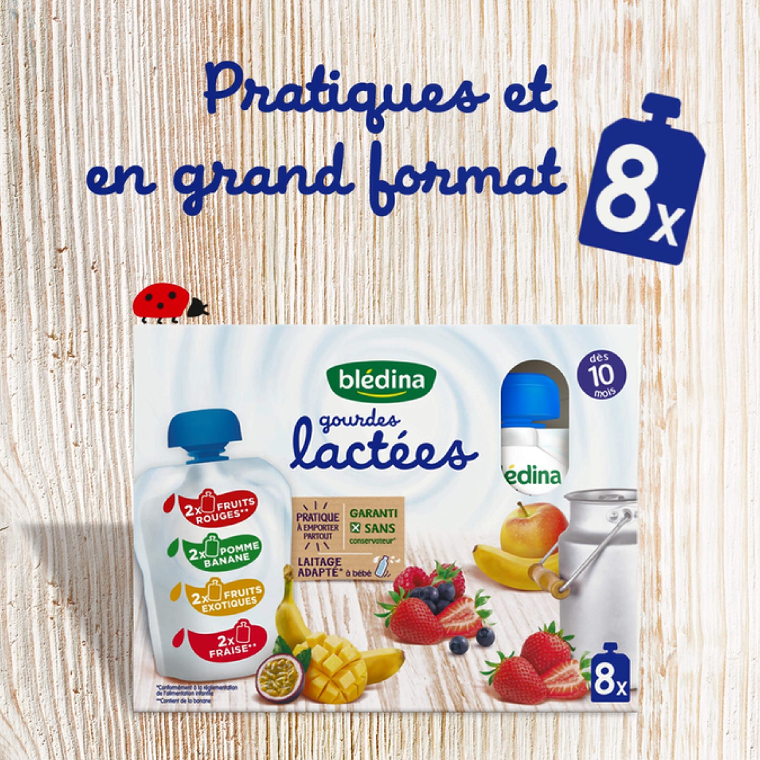Blédina - Gourdes Lactées aux Fruits - Pour Bébé dès 10 Mois, 32x85g (8x4 Variétés) ( L'emballage peut varier )