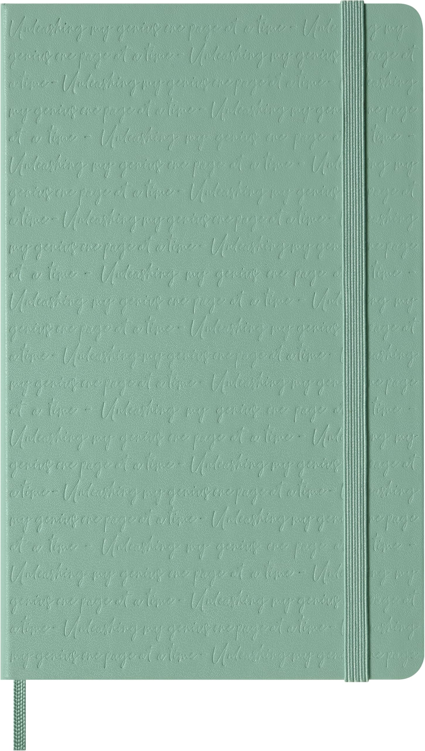 Moleskine Classic Notebook - Blank Pages with Hard Cover and Elastic Closure, Sage Green Color, Large Size 13 x 21 cm