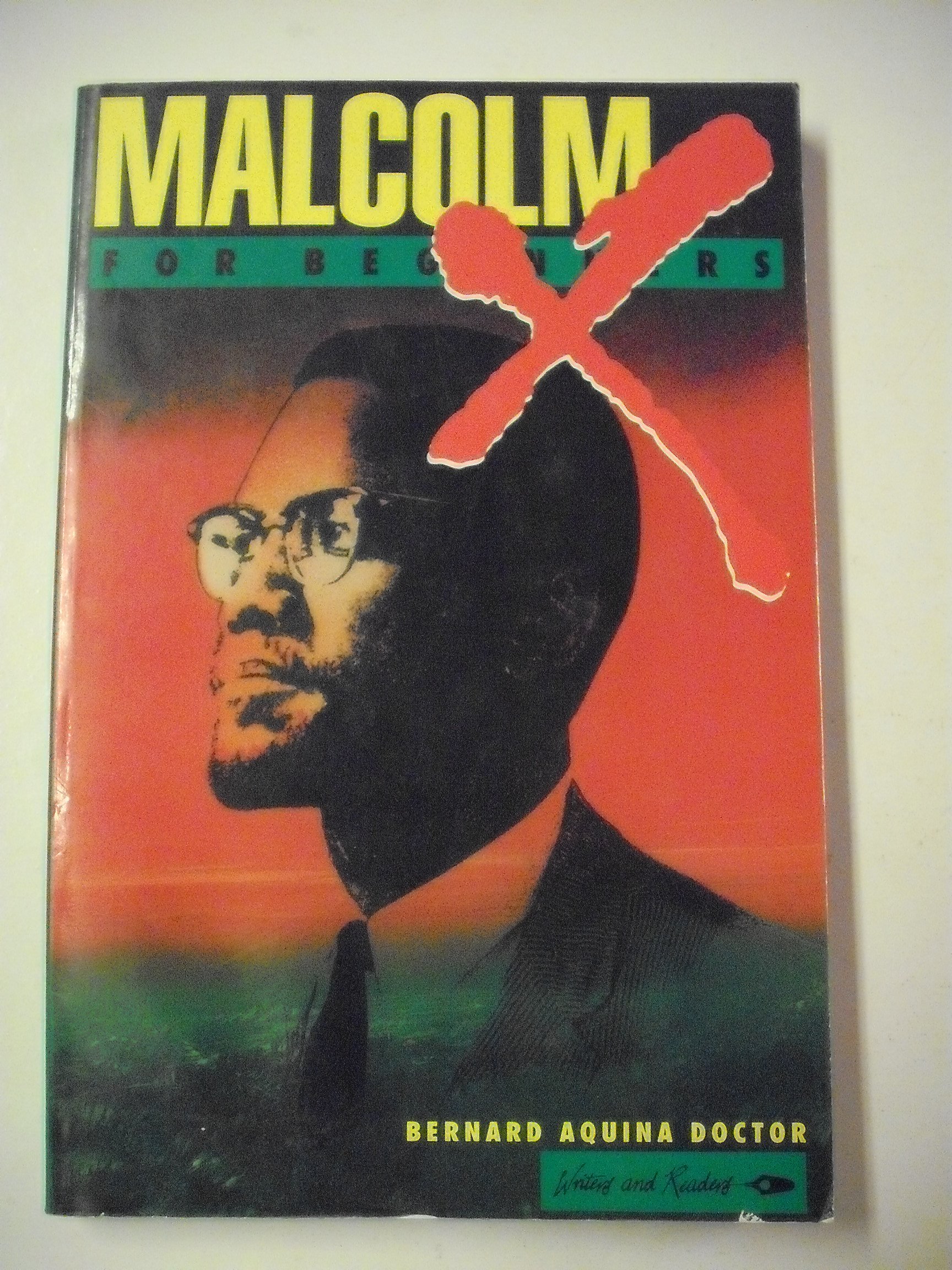 Buy Malcolm X for Beginners: 53 (A Writers & Readers beginners documentary comic book) — BookShops.in