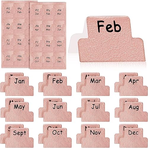 CASEWOL - Pestañas mensuales de cuero para planificadores 24 pestañas de planificador pestañas mensuales de calendario premium calcomanías de