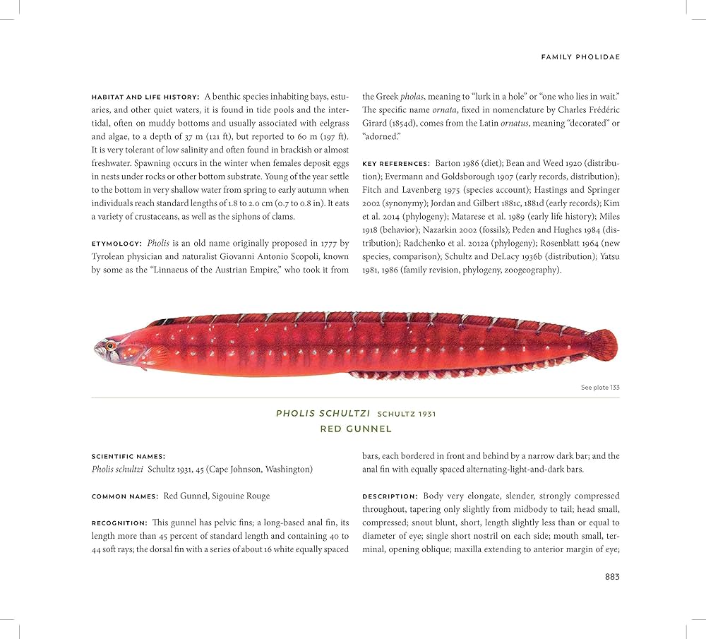 Amazon.com: Fishes of the Salish Sea, Volumes 13: Puget
