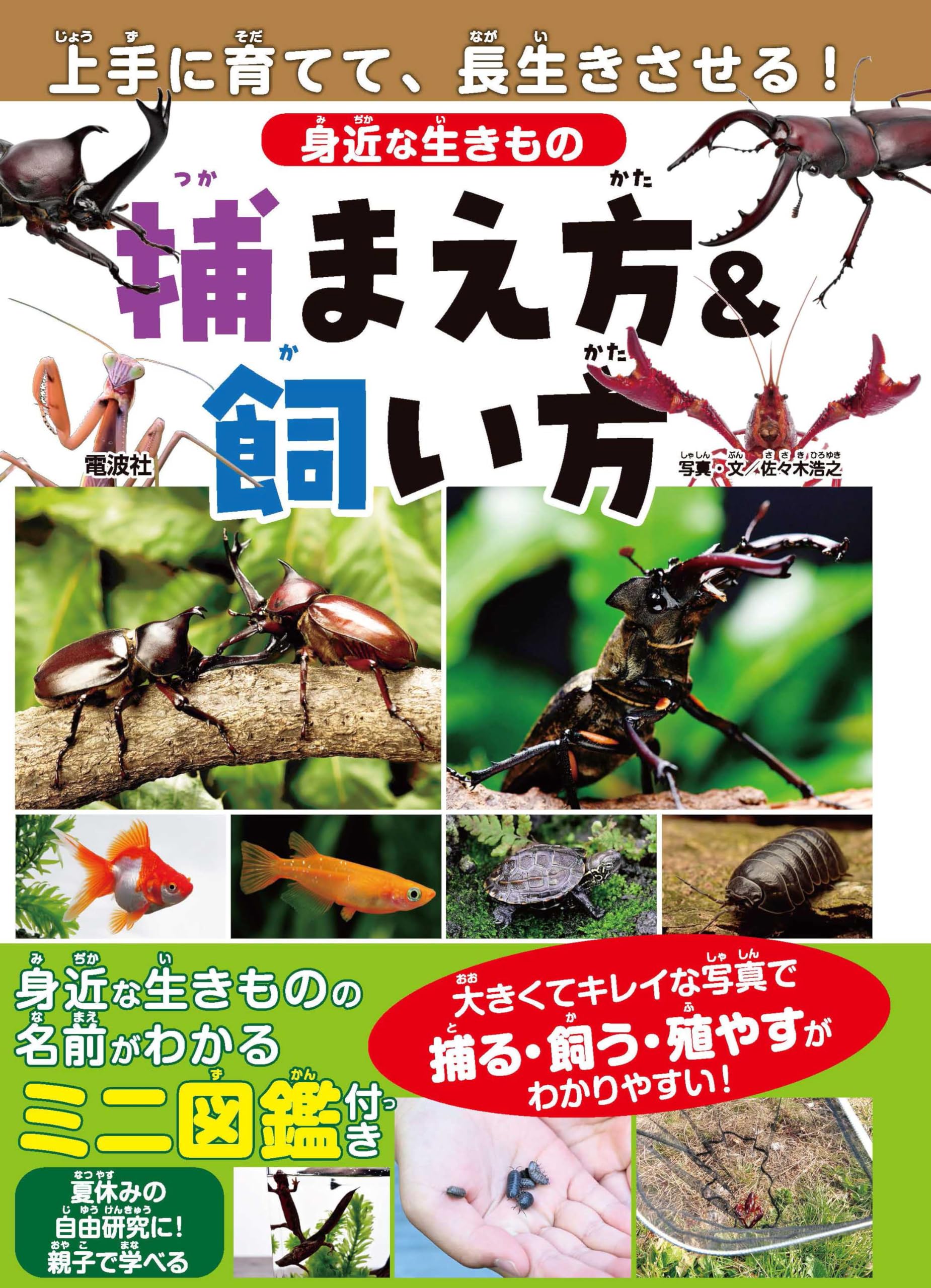 【中古】 生きもののじょうずな飼い方 身近な生きもの 捕まえ方&飼い方 | 佐々木浩之 |本 | 通販 | Amazon