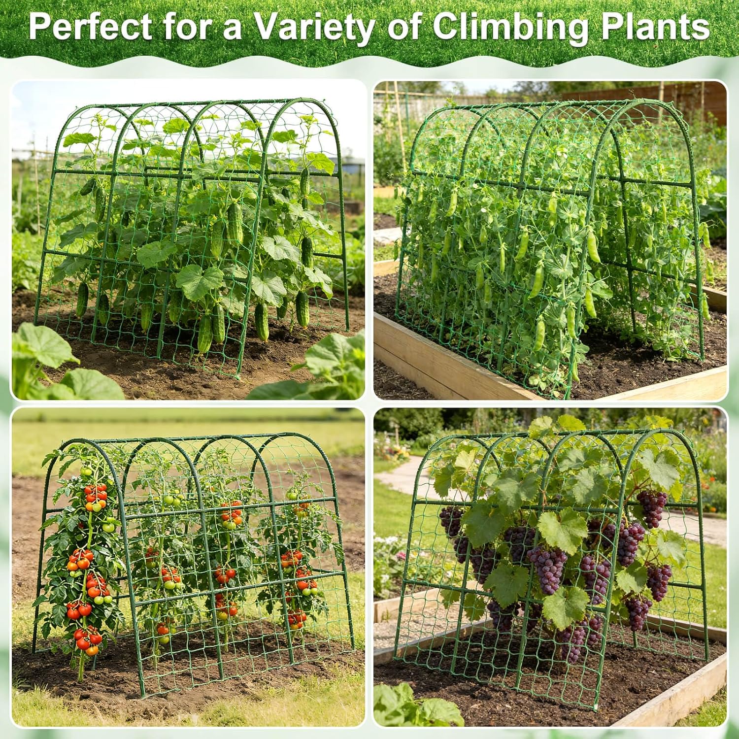 Cludoo Cucumber Trellis for Raised Bed Garden, U-Shape Arch Trellis for Climbing Plants Outdoor, Metal Vegetables Trellis with Netting, Garden Trellis for Cucumber Plants Sweet Pea Bean Grape