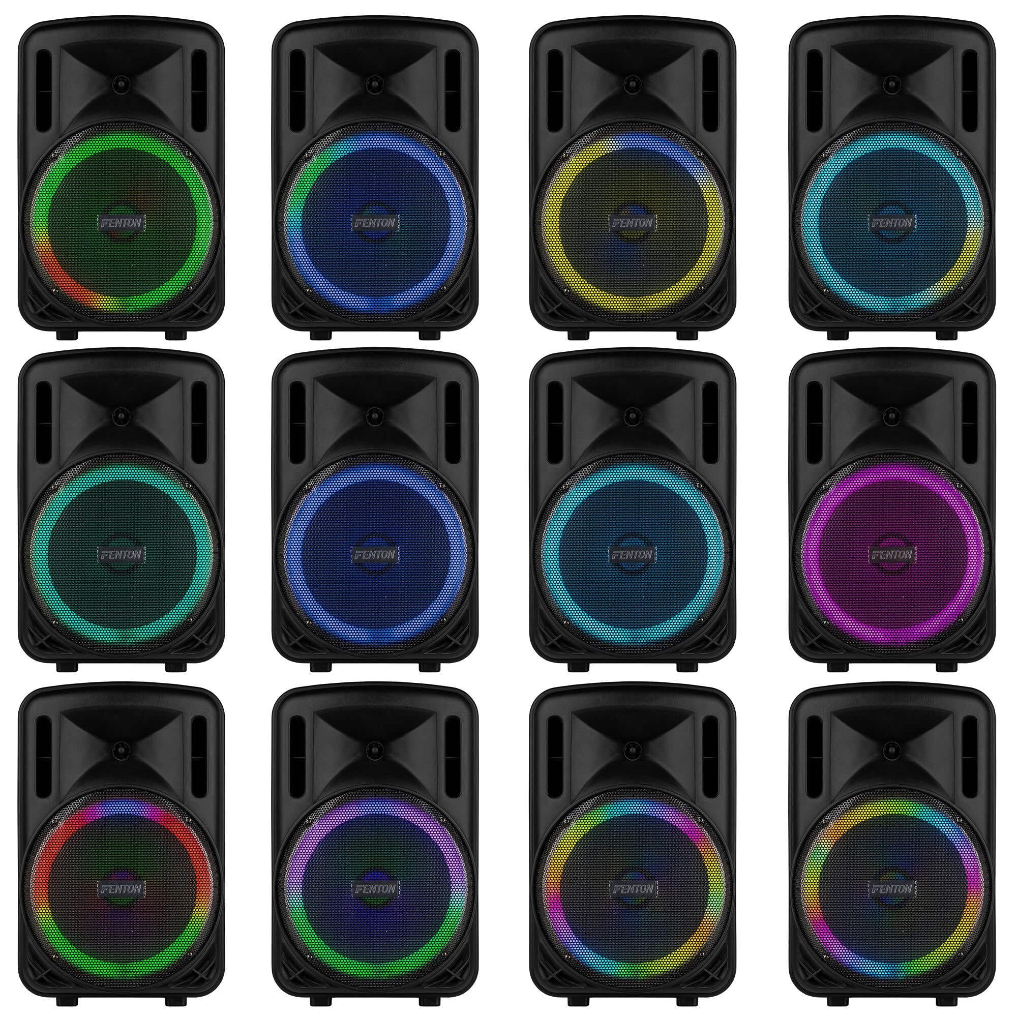FENTON 170.162 FT12MK2 Sistema Portatile attivo da 700W, con illuminazione LED RGB Woofer da 12” con BT/USB / MP3 e Microfono UHF, Nero (700, Watt) [Classe di efficienza energetica A]