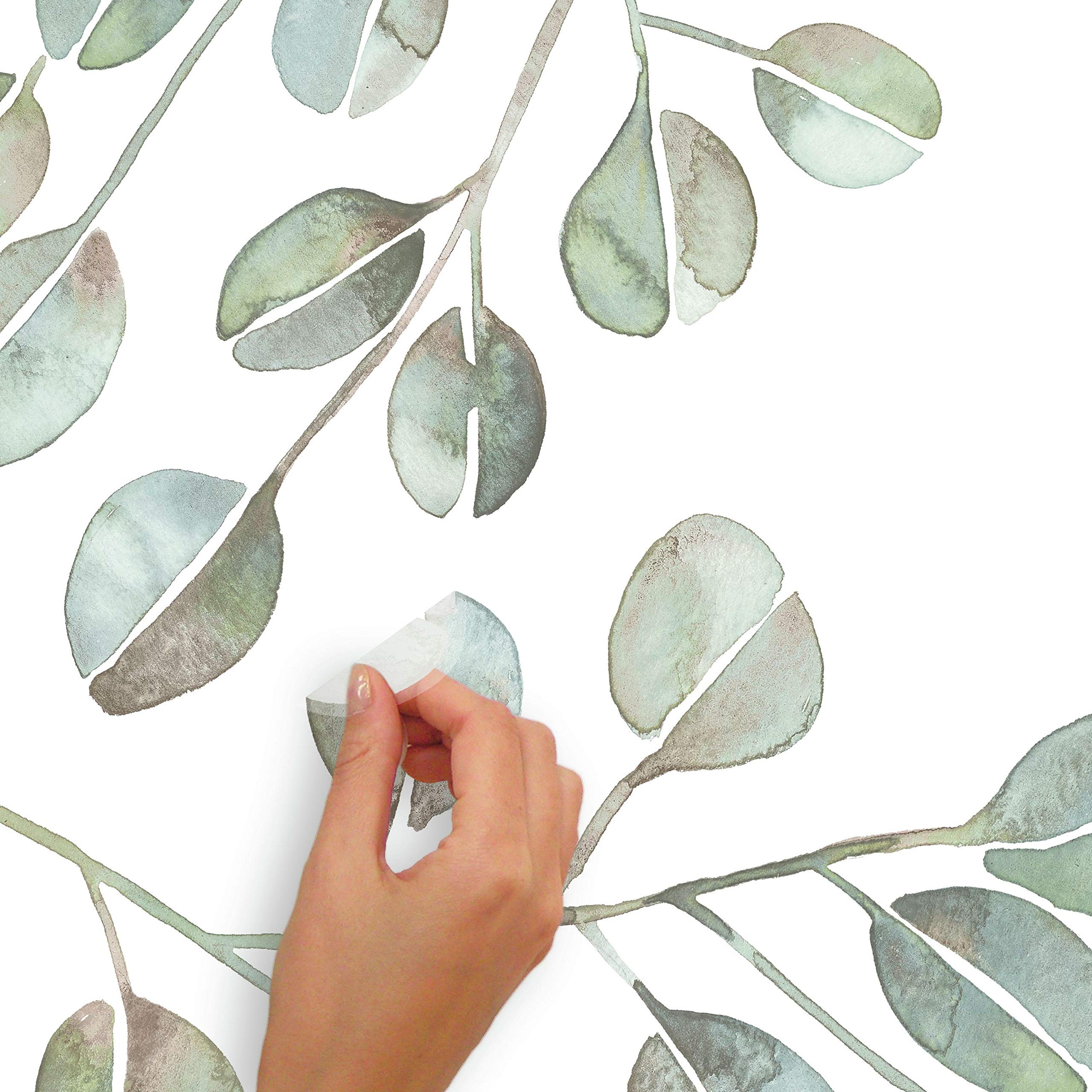 RoomMates RMK4710GM Catcoq Eucalyptus Peel and Stick Wall Decals, Green, Blue, Brown - Image 4