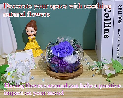 Miniatura 5 de Valley of Rain & Forest Flores reales de larga duración, regalo floral único para que envíes amor para todas las ocasiones, para decoración de